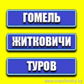 Гомель-Житковичи-Туров