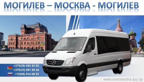 Могилев москва автобус